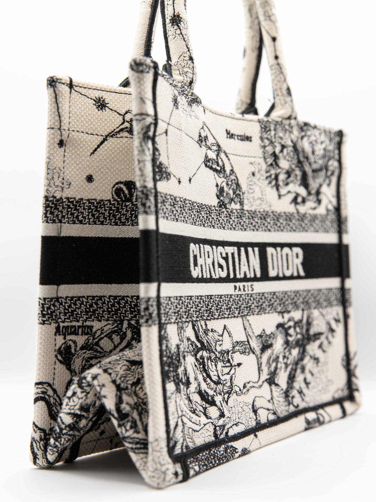 Dior - Book Tote Piccola Ricamo Dior Zodiac latte e nero